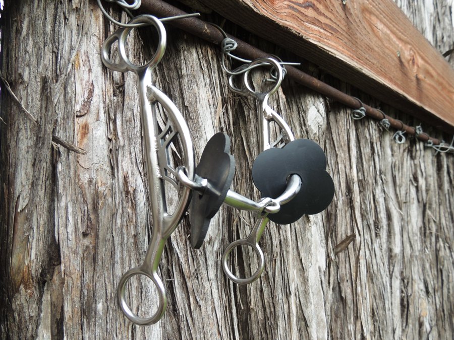 Magnum 1 Snaffle